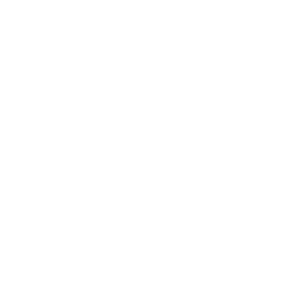 1x Waffenschmiede Wolfsburg Aufkleber