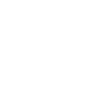 Puma, Berglöwe, Katze